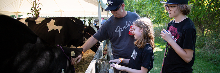 Petting Farm Animals